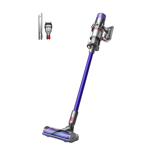 Dyson V11 Origin opiniones
