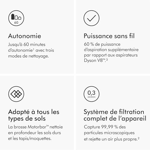 Dyson V11 Origin prix