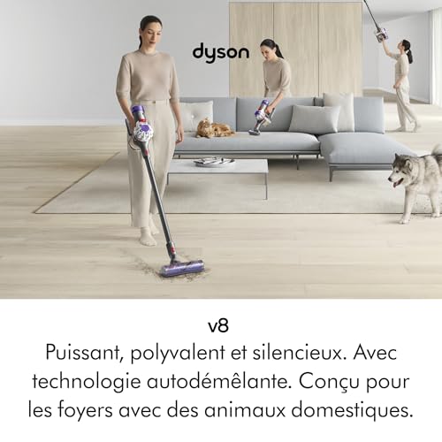 Dyson V8 test